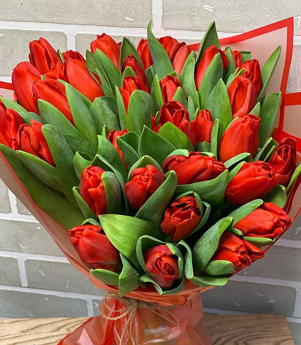 Красные тюльпаны, 51 шт.